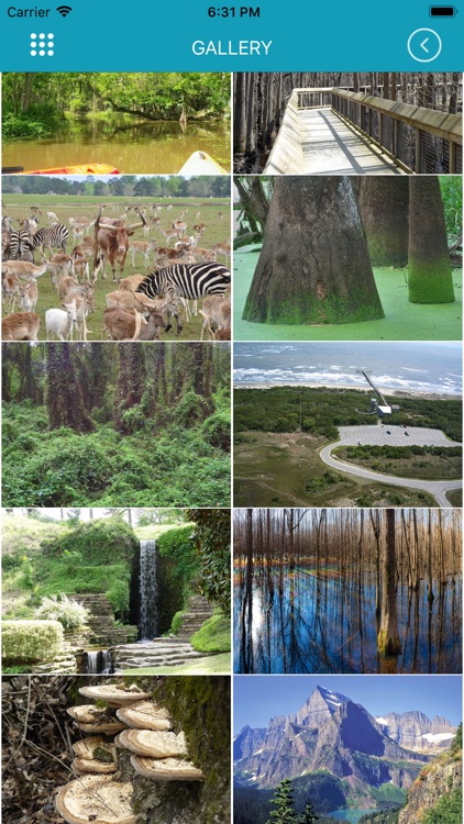 Louisiana State Park screenshot-5