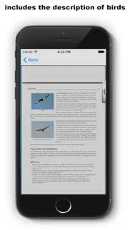 birds songs app, ornithology problems & solutions and troubleshooting guide - 3