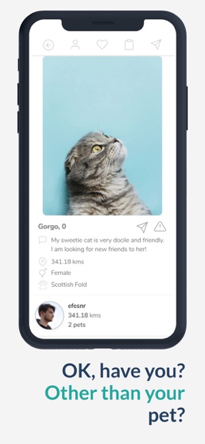 Pet and Date(圖2)-速報App