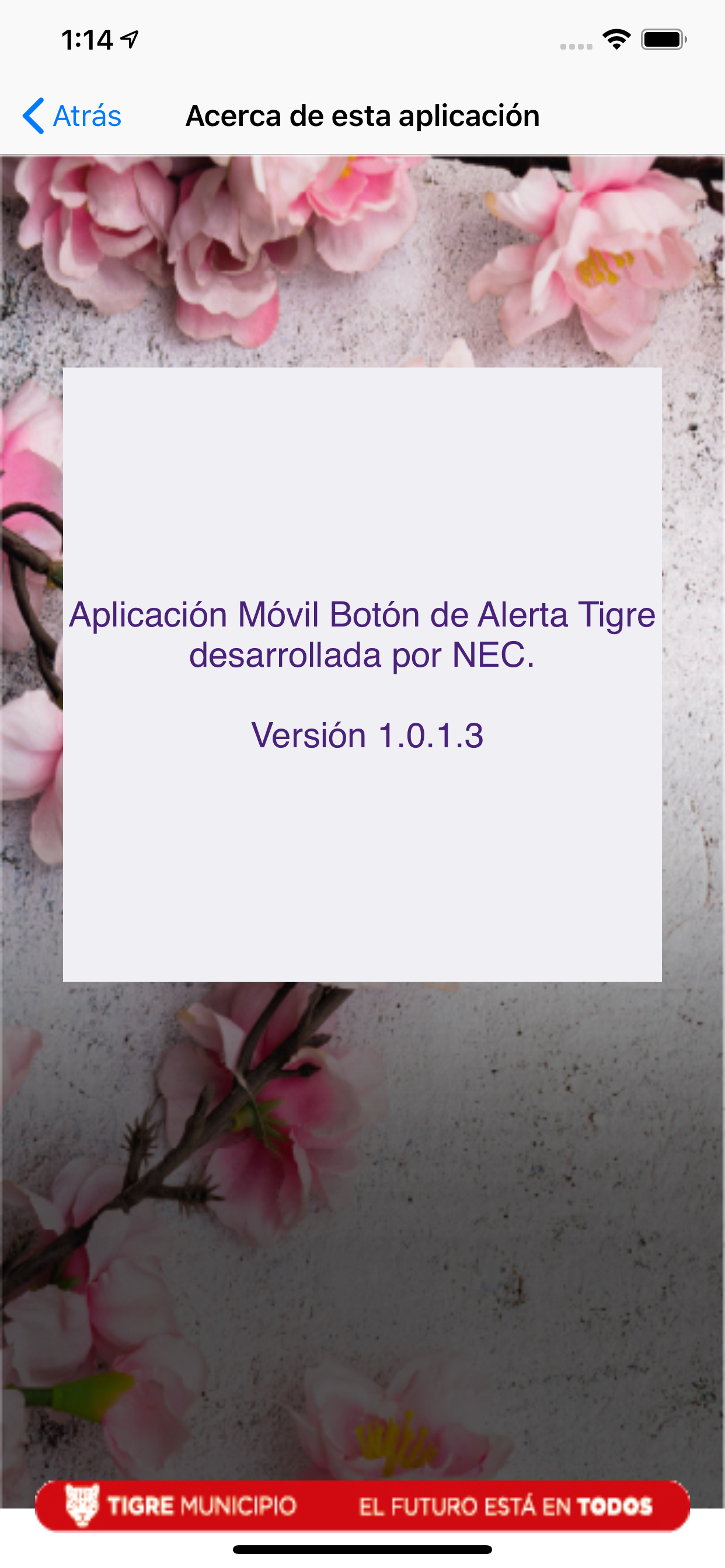 Alerta de Género Tigre screenshot 4