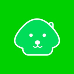 Dog House -Caring for your dog