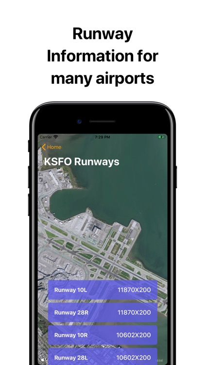 AeroNautical: METAR, NOTAMs screenshot-6