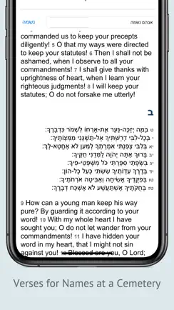 Tehilim תהלים Tehillim Psalms iPhone image 4