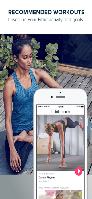 ‎Fitbit Coach Screenshot