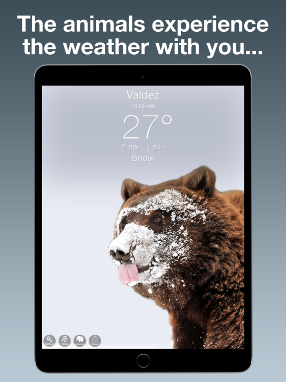 Screenshot #6 pour Wildlife Wallpaper Weather