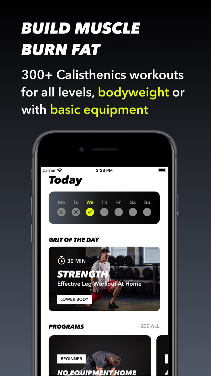 Grit - Calisthenics Workout