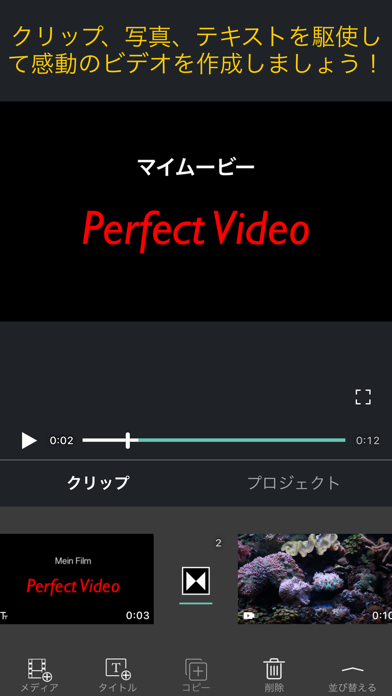 Perfect Video  Pro screenshot1