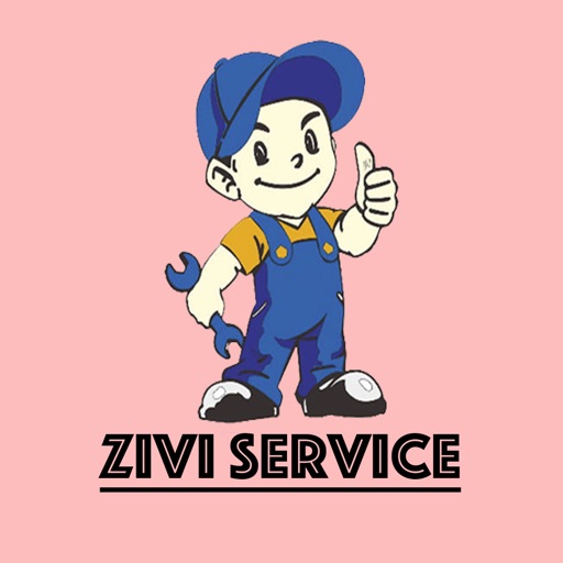 Zivi Service