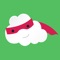 The Asthma Action Hero app is a mobile asthma action plan that helps patients manage asthma conditions through notifications