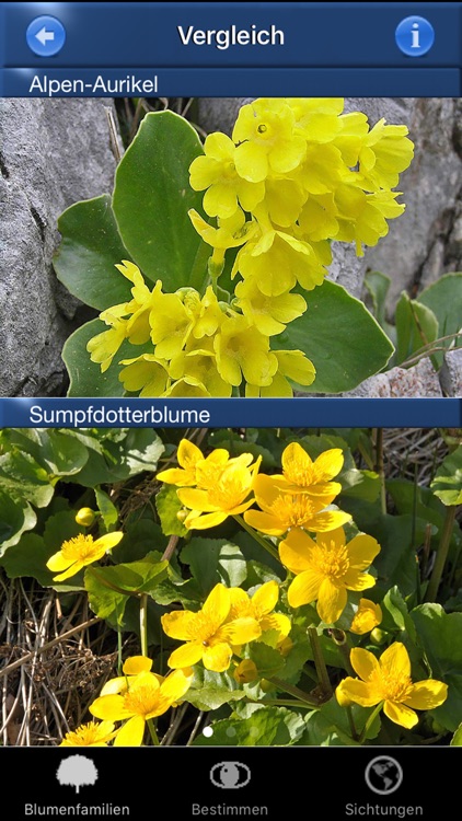 Alpenblumen Id Automatik