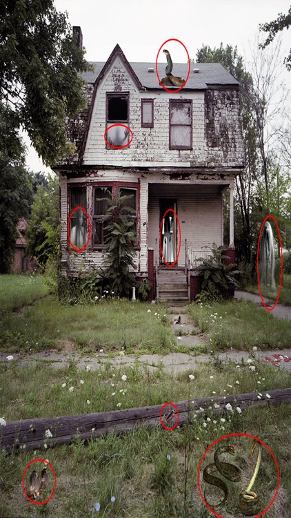 Spooky Halloween Photo Collage