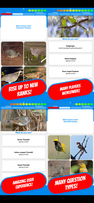 BIRDS & ORNITHOLOGY Quiz(圖2)-速報App