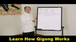 meridian qigong exercises iphone images 3