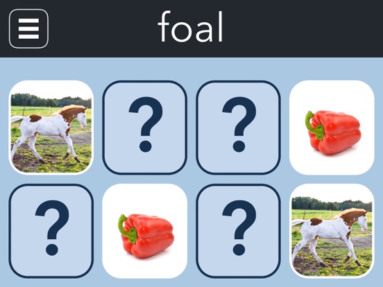 Screenshot #6 pour The Big Picture Book