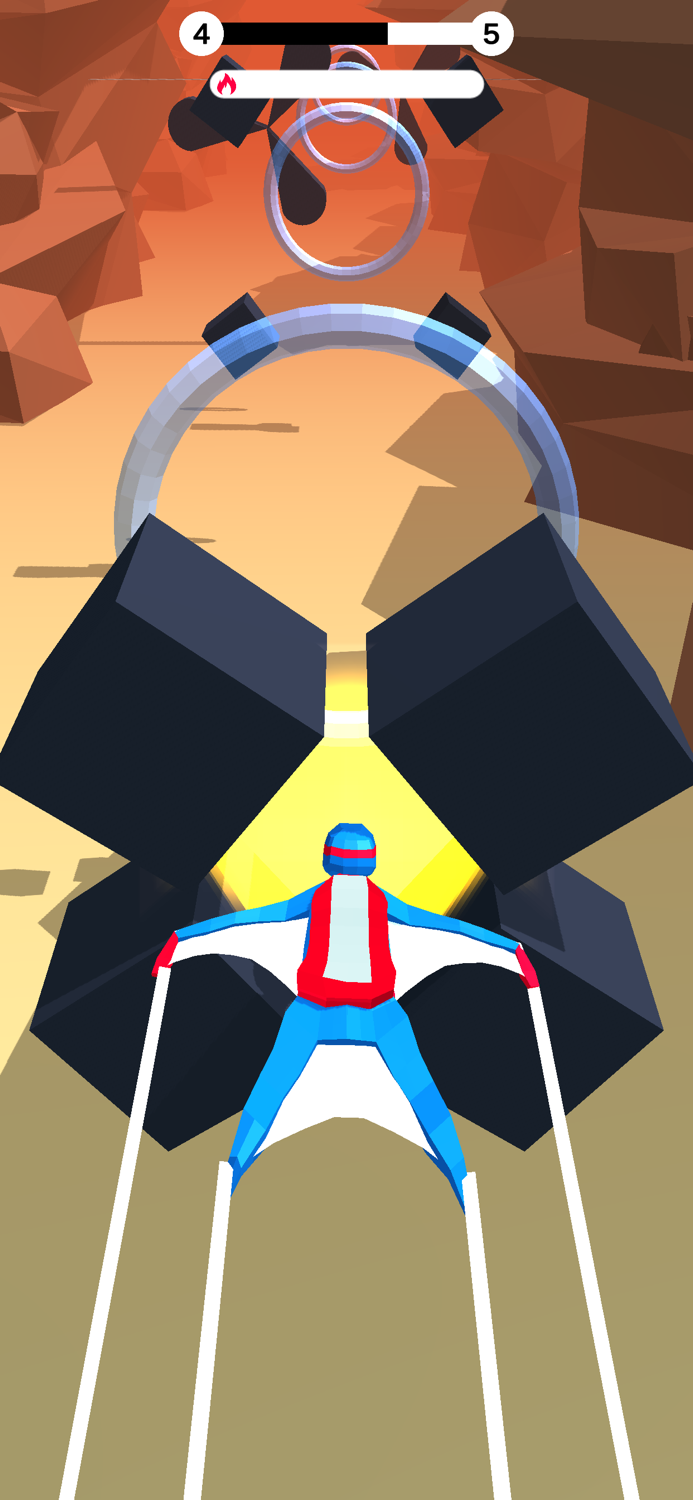 Wingsuit Fall and Break