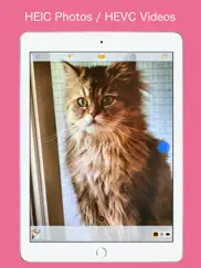 first camera ipad resimleri 3