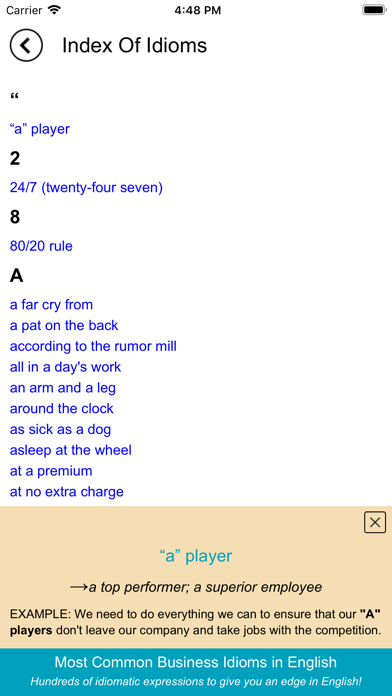 Business Idioms in English screenshot