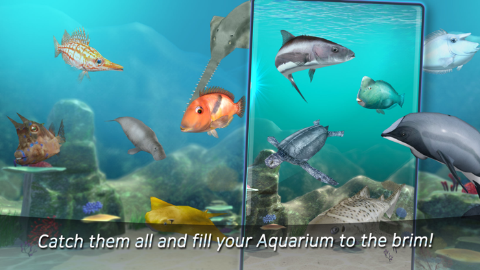 Fishing King The Urban Angler