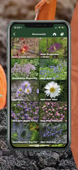 Game screenshot Der Garten-Profi hack