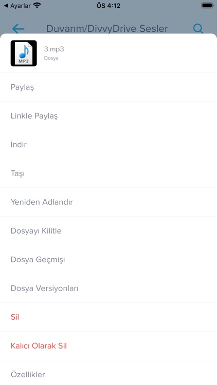 DHMİ Bulut screenshot-3