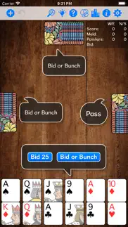 pinochle gold iphone screenshot 1