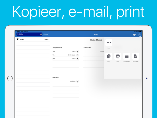 Engelse Werkwoorden Pro iPad app afbeelding 4