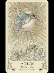 spiritsong tarot айпад изображения 2