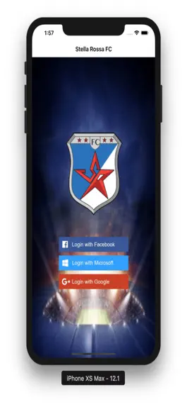 Game screenshot Stella Rossa FC mod apk