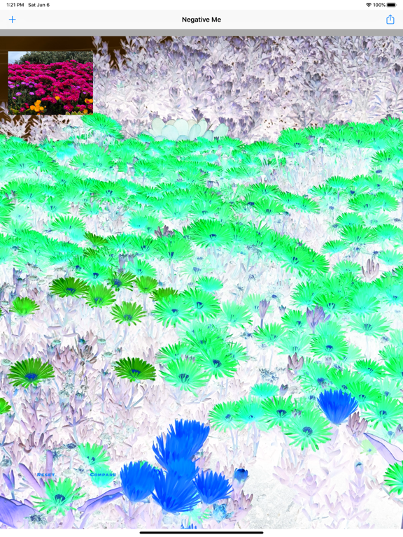Screenshot #6 pour Negative Me Pro