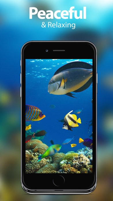 Screenshot #2 pour Underwater Wallpapers & Themes