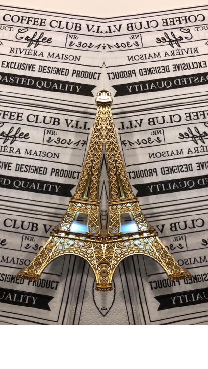 Snell: Reverse camera filter screenshot-3