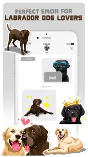 labrador retriever dog emojis problems & solutions and troubleshooting guide - 2