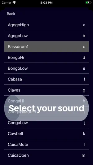 MsyMetronom screenshot 2