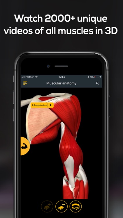 Anatomy by Muscle & Motion screenshot-4