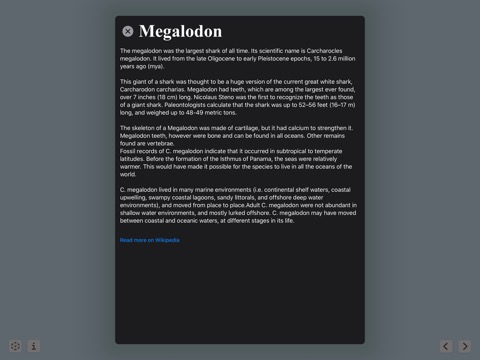 Megalodonのおすすめ画像8