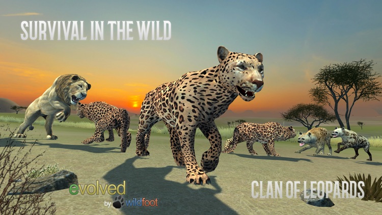 Clan Of Leopards