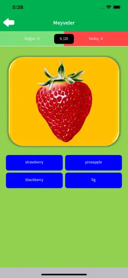 Game screenshot İngilizce Öğreniyorum apk