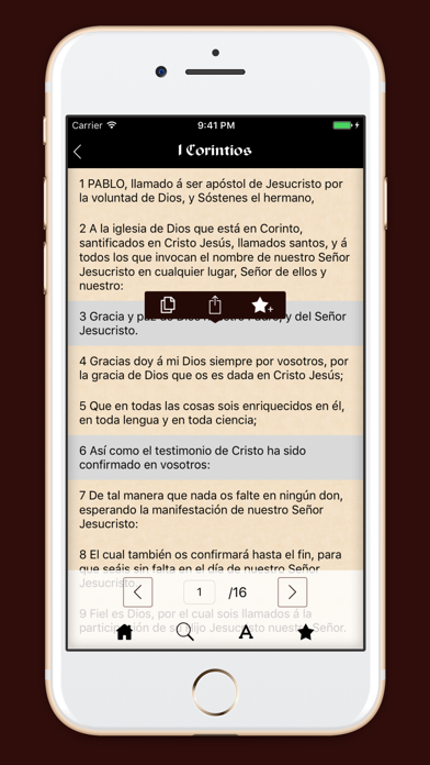 Screenshot #3 pour La Biblia Reina Valera Antigua