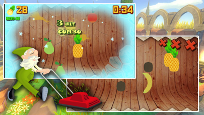 Fruit Slice Shake screenshot 3