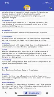 business analyst starter kit iphone screenshot 4