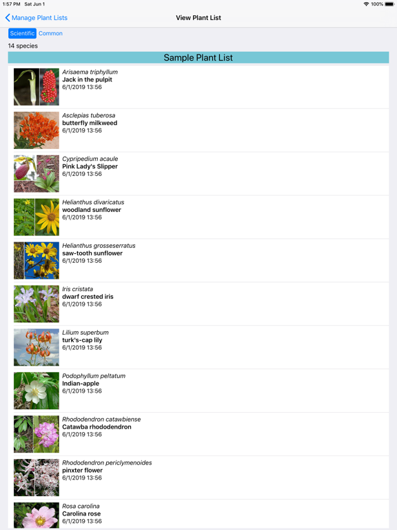Virginia Wildflowers iPad screenshot