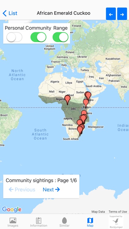 Birds of Africa screenshot-3