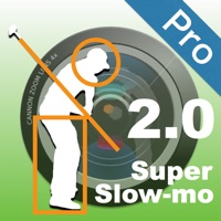 Swing Manager Pro PC 용