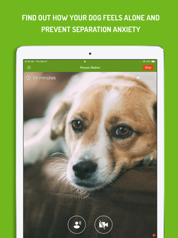 Dog Monitor screenshot 4