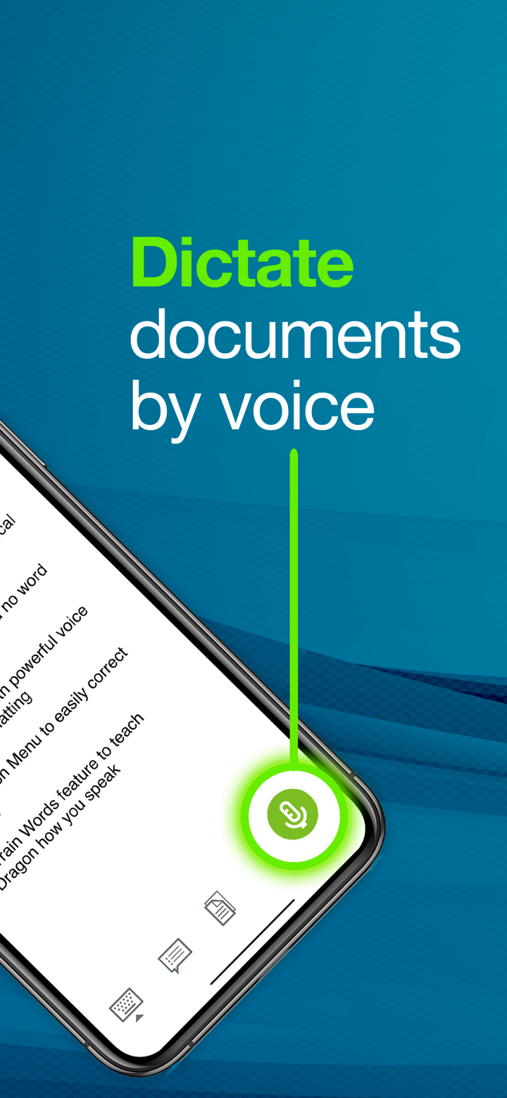 Dragon Anywhere screenshot 2