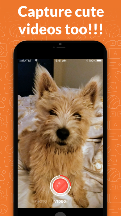 Screenshot #2 pour PetSelfie- DogCam and CatCam