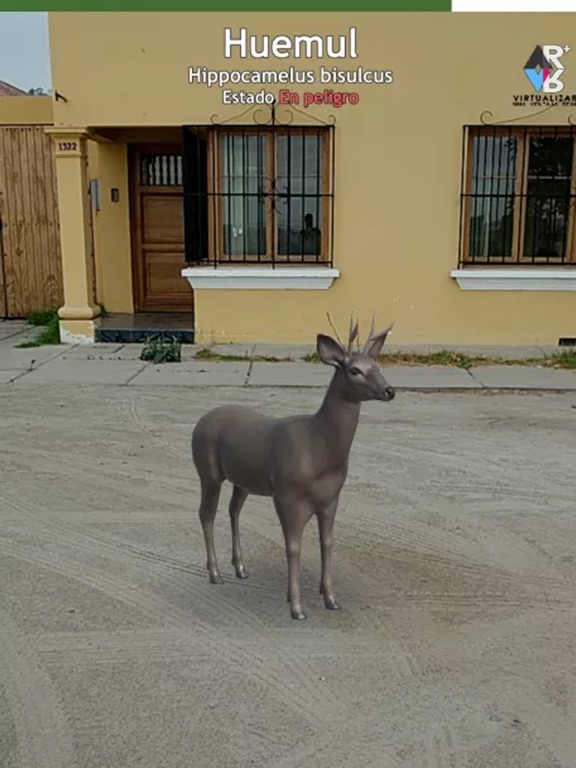 Screenshot #6 pour Fauna GO