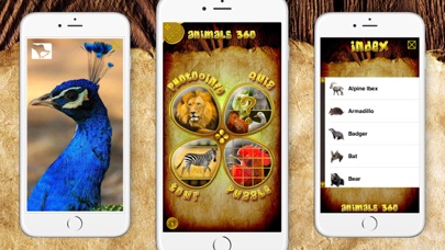 Animals 360 Gold screenshot 2