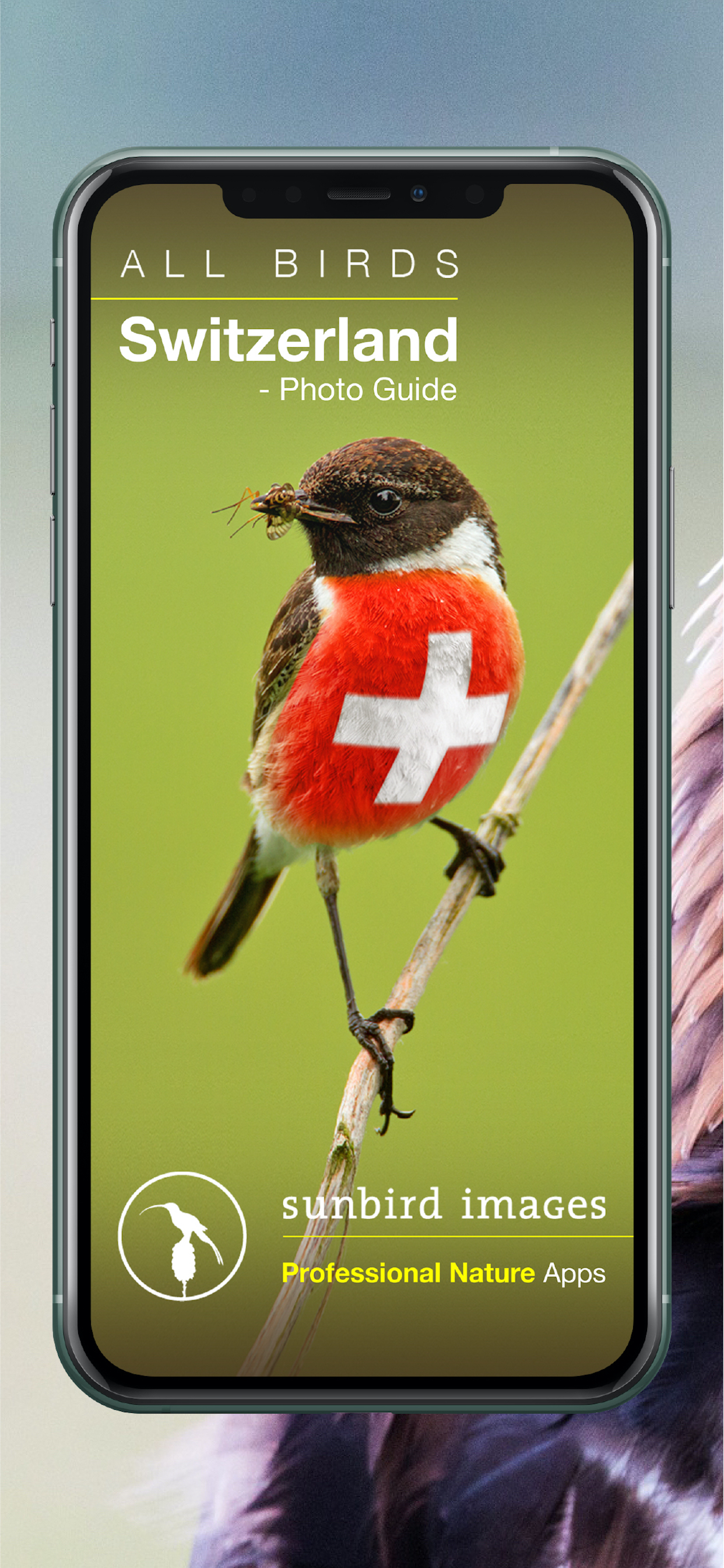 All birds CH - photo guide