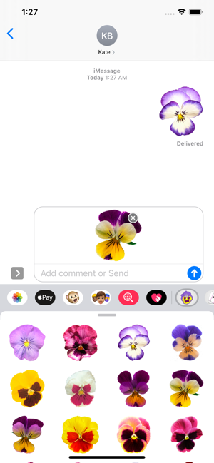 Beautiful Pansies Stickers(圖1)-速報App